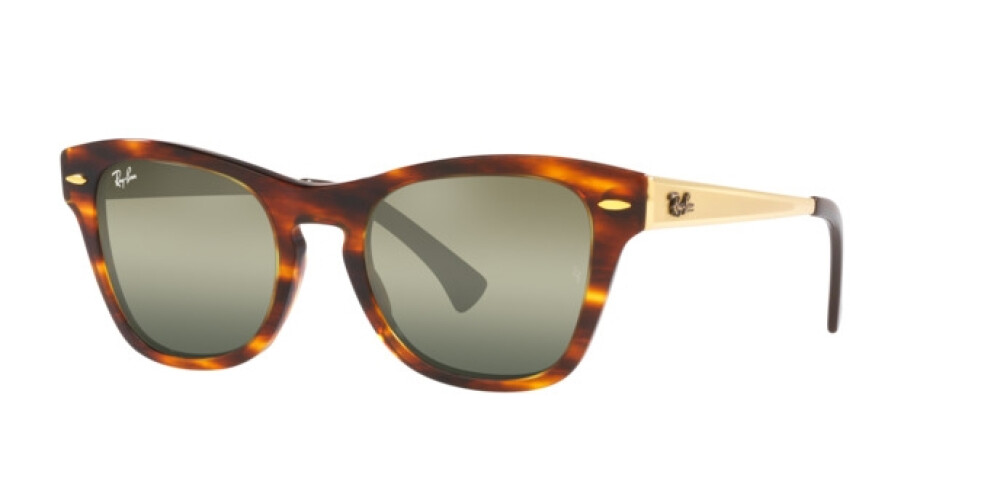 Sunglasses Man Woman Ray-Ban  RB 0707SM 954/G4