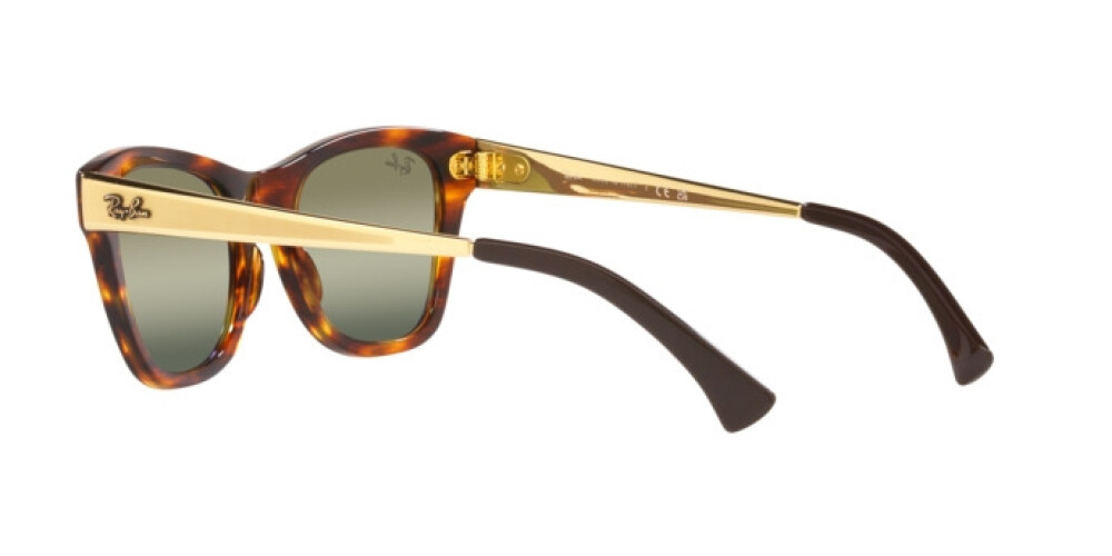 Sunglasses Man Woman Ray-Ban  RB 0707SM 954/G4