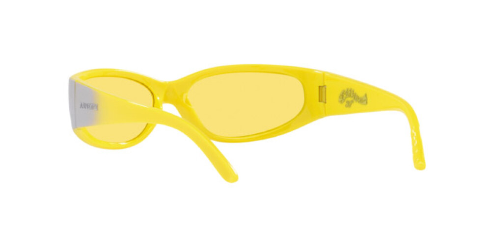 Occhiali da Sole Uomo Arnette Catfish AN 4302 281685