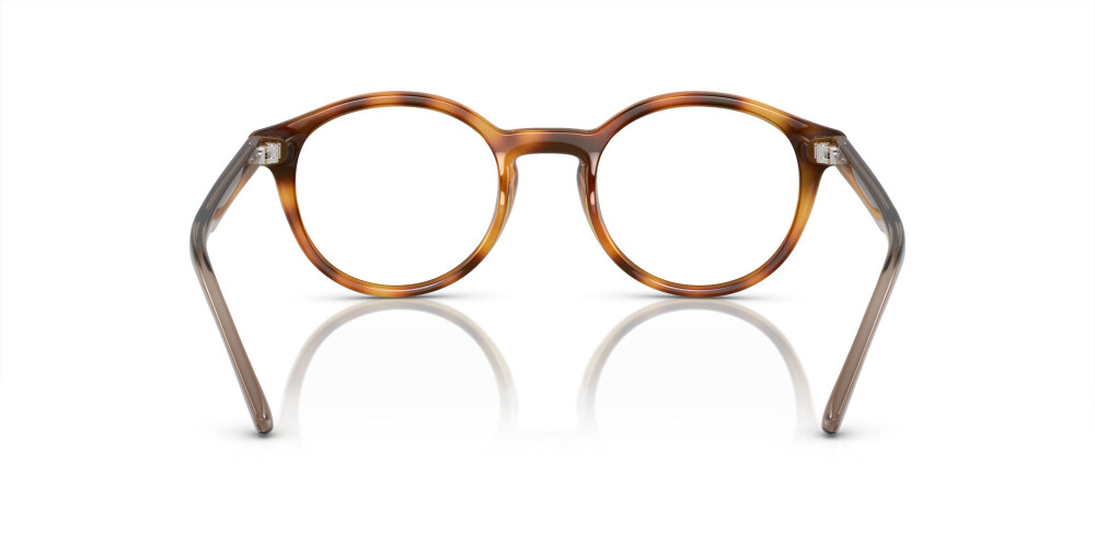 Eyeglasses Man Arnette Allye AN 7242 2770