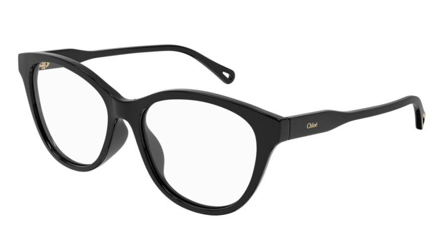 Eyeglasses Woman Chloé Chloé CH0085O-005