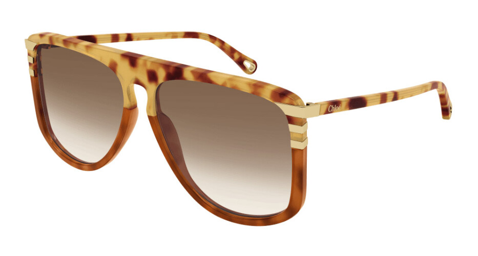 Sunglasses Woman Chloé  CH0104S-005