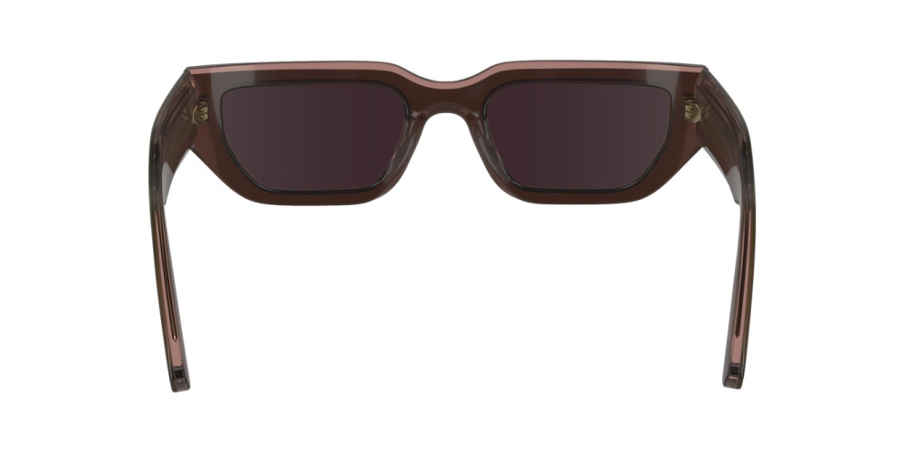 Sunglasses Man Woman Calvin Klein  CK24500S 228