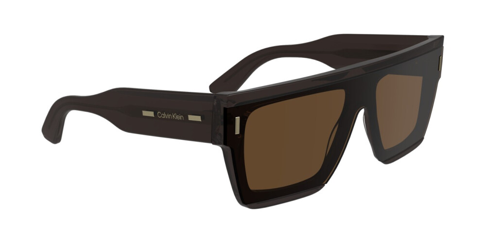 Sunglasses Man Woman Calvin Klein  CK24502S 260