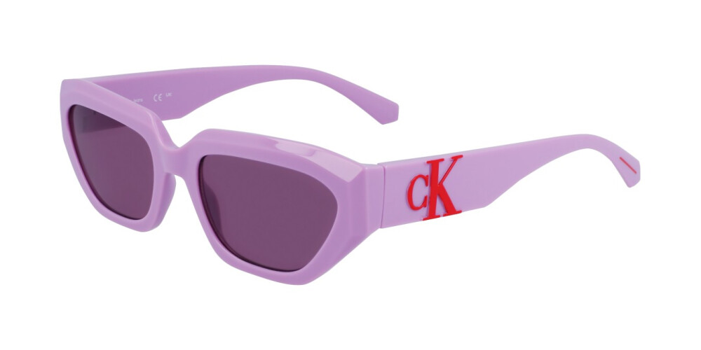 Sunglasses Man Woman Calvin Klein Jeans  CKJ23652S 540