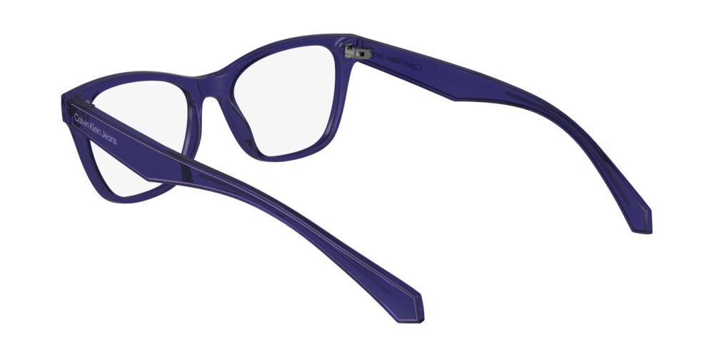 Eyeglasses Junior Calvin Klein Jeans  CKJ24304 500