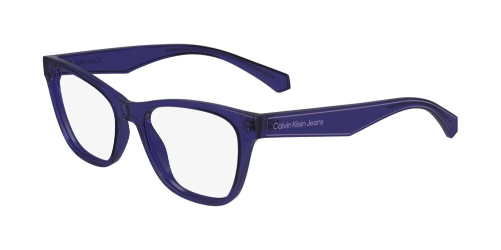 Eyeglasses Junior Calvin Klein Jeans  CKJ24304 500