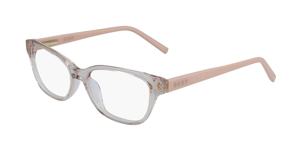 Eyeglasses Woman DKNY  DK5011 280