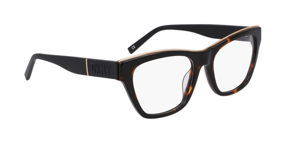 Eyeglasses Woman DKNY  DK5063 237