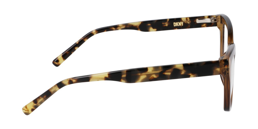 Eyeglasses Woman DKNY  DK5068 220