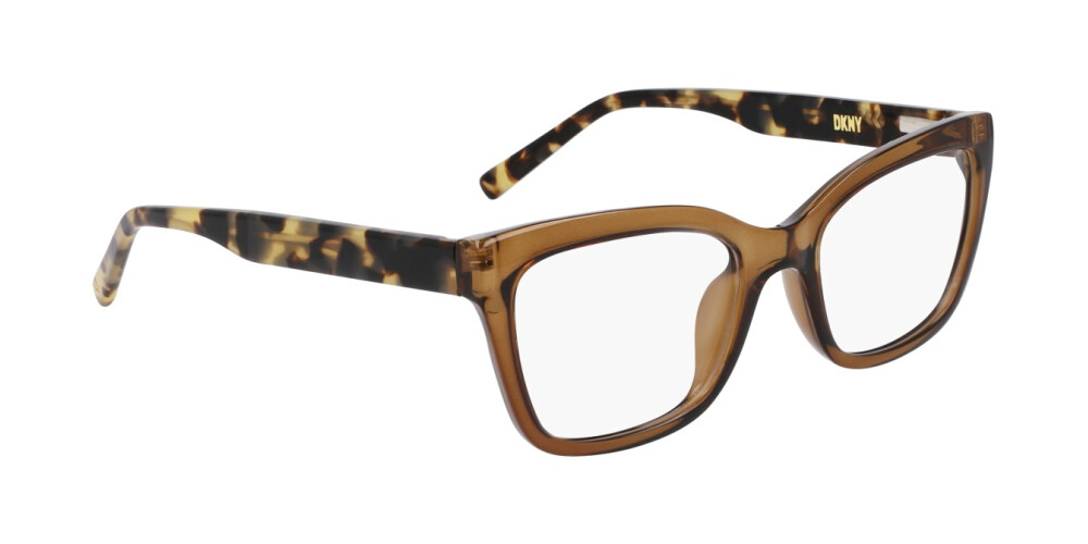 Eyeglasses Woman DKNY  DK5068 220