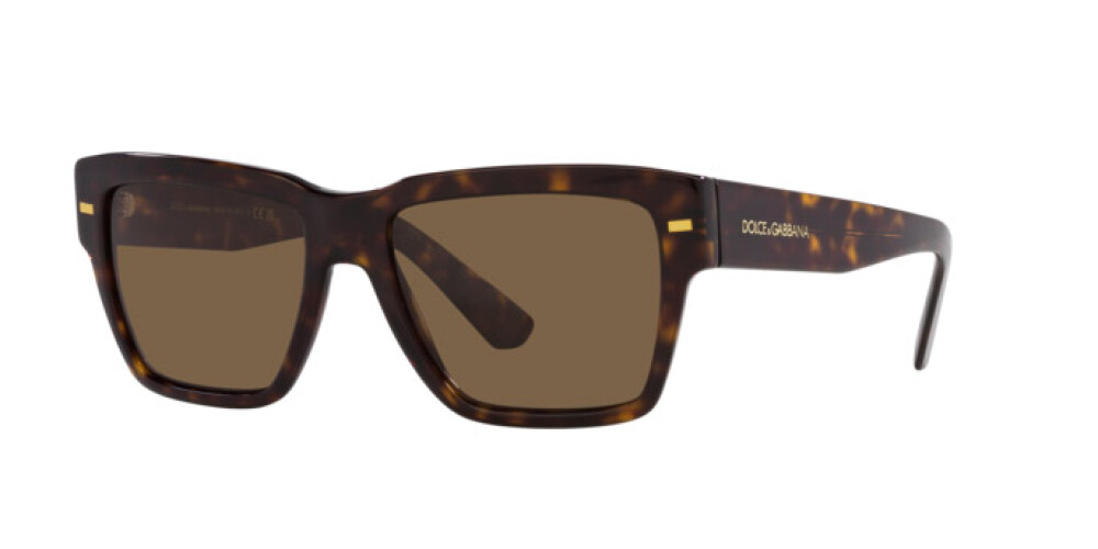 Occhiali da Sole Uomo Dolce & Gabbana  DG 4431 502/73