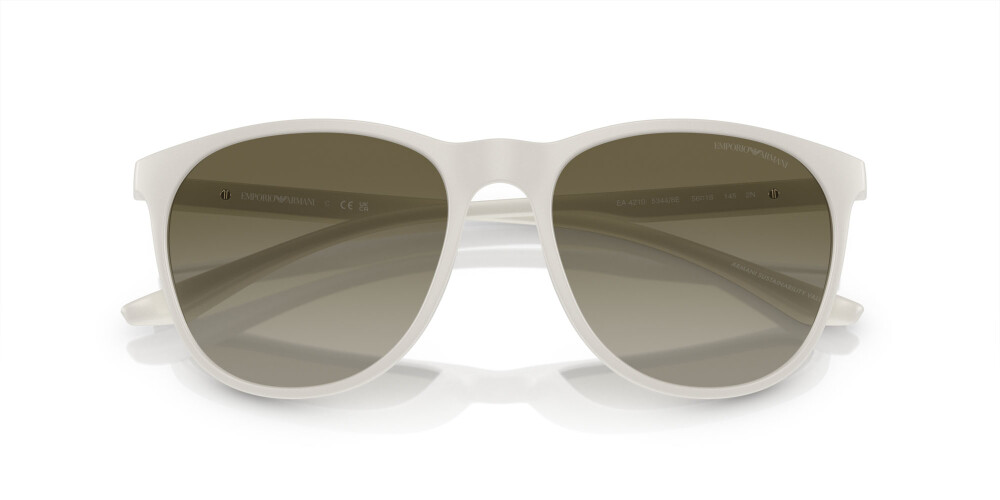 Sunglasses Man Emporio Armani  EA 4210 53448E