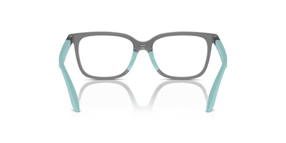 Eyeglasses Junior Emporio Armani  EK 3006 6134