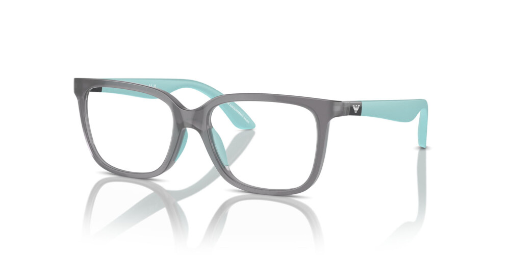 Eyeglasses Junior Emporio Armani  EK 3006 6134