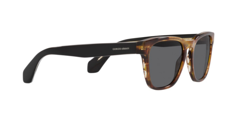 Sunglasses Man Giorgio Armani  AR 8155 5941B1