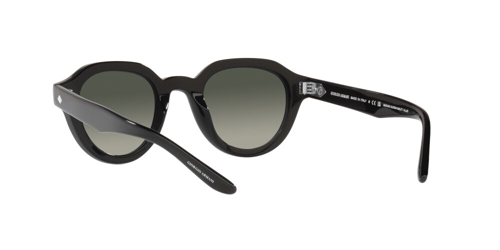 Sunglasses Woman Giorgio Armani  AR 8172U 587571