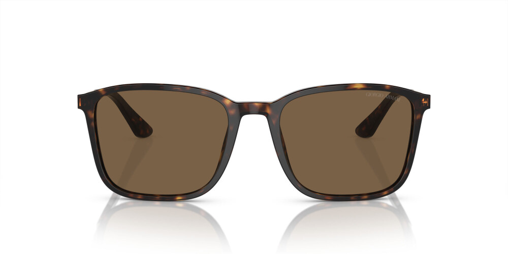 Sunglasses Man Giorgio Armani  AR 8197 502673