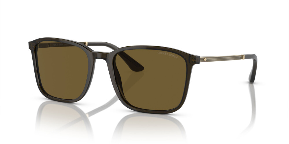 Sunglasses Man Giorgio Armani  AR 8197 503073