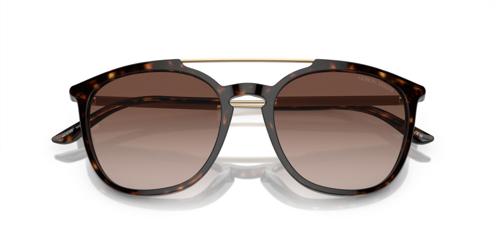 Sunglasses Man Giorgio Armani  AR 8198 502613