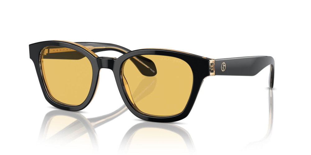 Sunglasses Man Giorgio Armani  AR 8207 608485