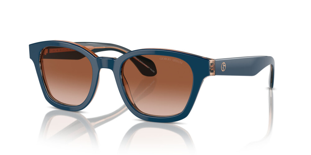 Sunglasses Man Giorgio Armani  AR 8207 608513