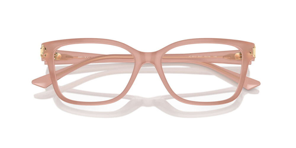 Eyeglasses Woman Jimmy Choo  JC 3012 5027