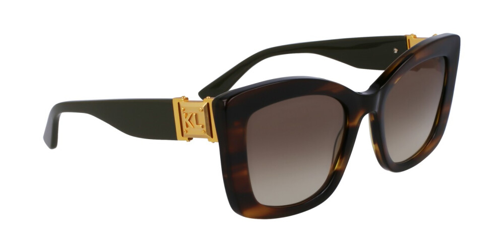 Sunglasses Woman Karl Lagerfeld  KL6139S 212