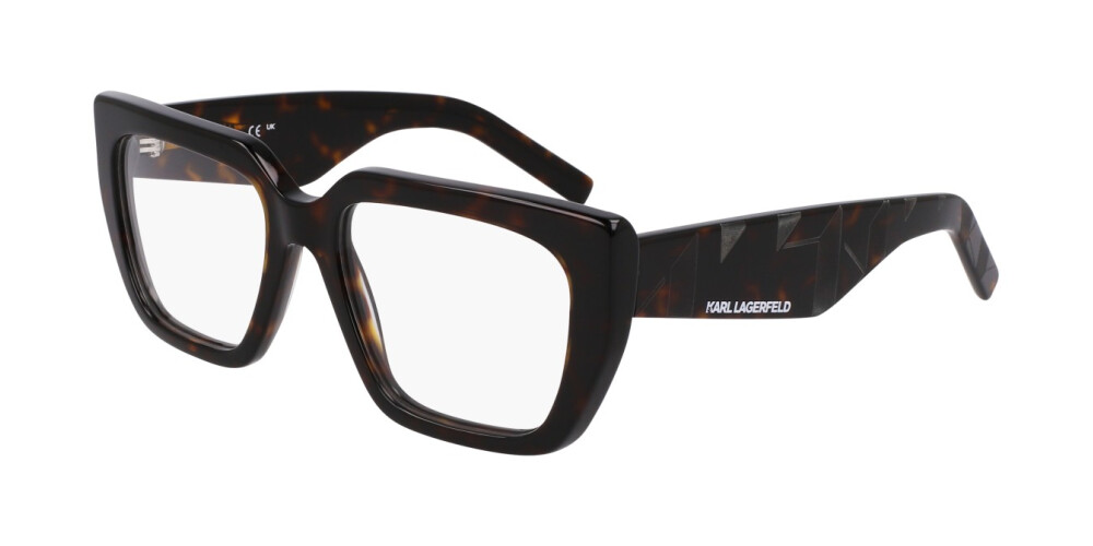 Eyeglasses Woman Karl Lagerfeld  KL6159 242