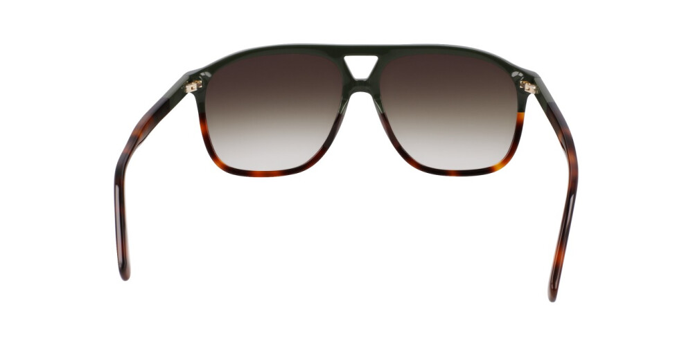 Sunglasses Woman Longchamp  LO751S 320