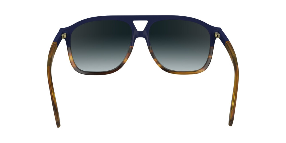 Sunglasses Woman Longchamp  LO751S 430