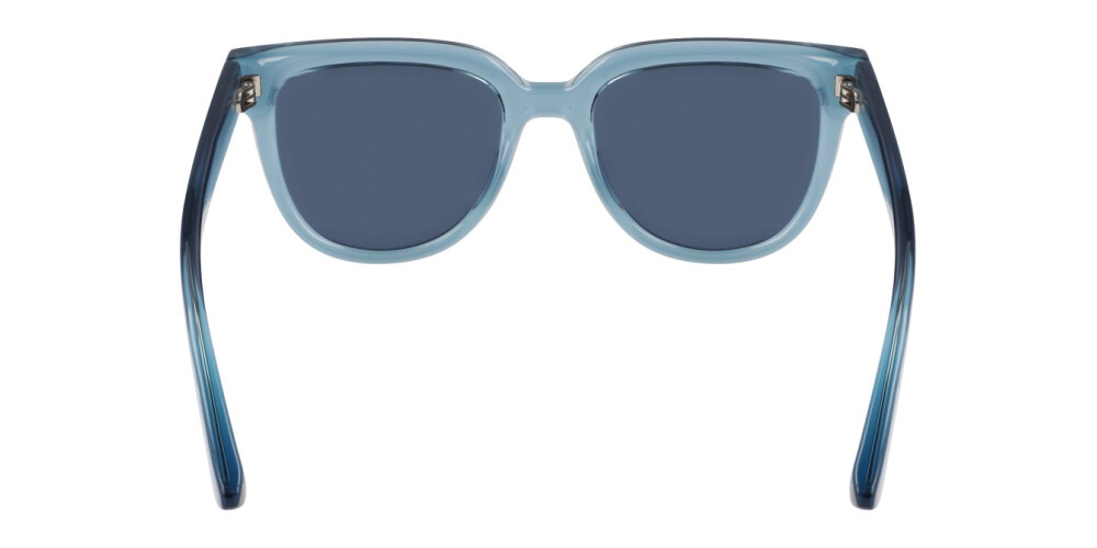 Sunglasses Woman Longchamp  LO755S 405