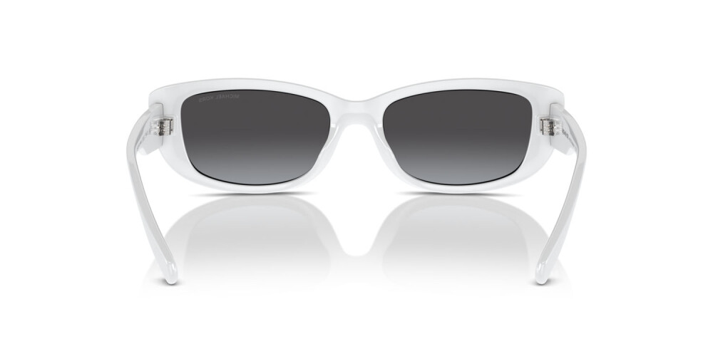 Sunglasses Woman Michael Kors Asheville MK 2210U 31008G