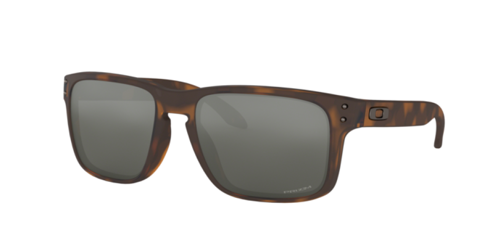 Occhiali da Sole Uomo Oakley Holbrook OO 9102 9102F4