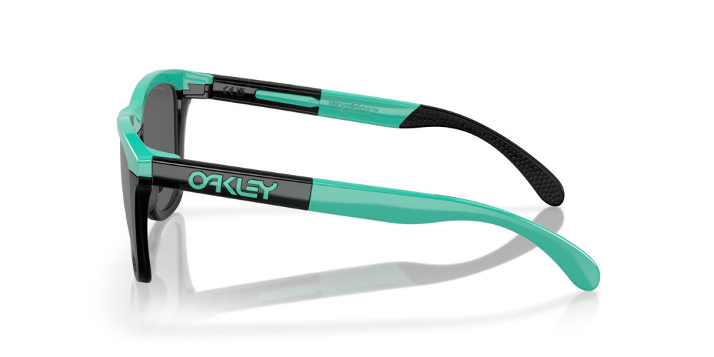 Sunglasses Man Oakley Frogskins Range OO 9284 928410