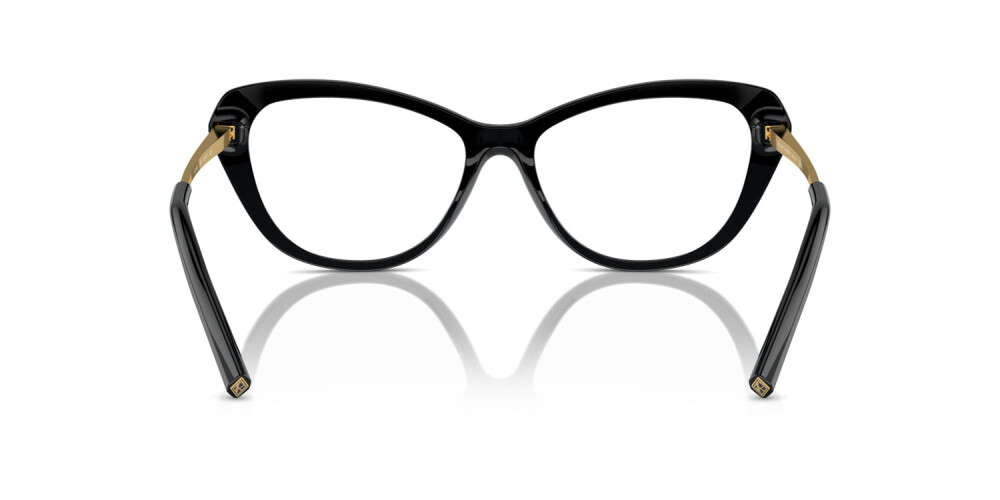 Eyeglasses Woman Ralph Lauren  RL 6245 5001