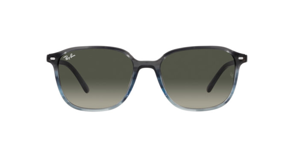 Sunglasses Man Woman Ray-Ban Leonard RB 2193 138171