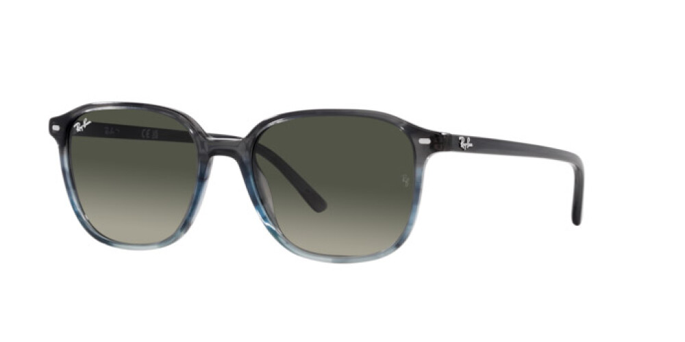 Sunglasses Man Woman Ray-Ban Leonard RB 2193 138171