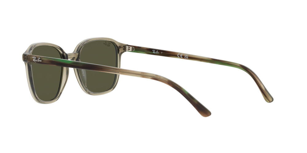 Sunglasses Man Woman Ray-Ban Leonard RB 2193 66355C