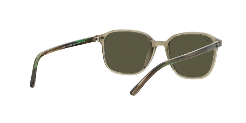 Sunglasses Man Woman Ray-Ban Leonard RB 2193 66355C