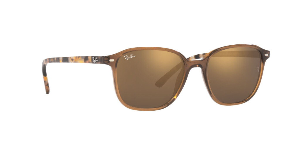 Sunglasses Man Woman Ray-Ban Leonard RB 2193 663693