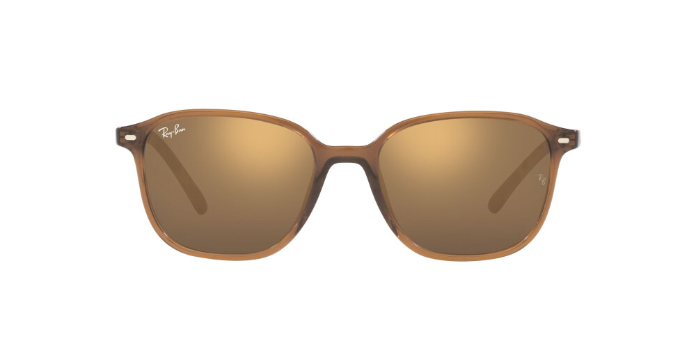 Sunglasses Man Woman Ray-Ban Leonard RB 2193 663693