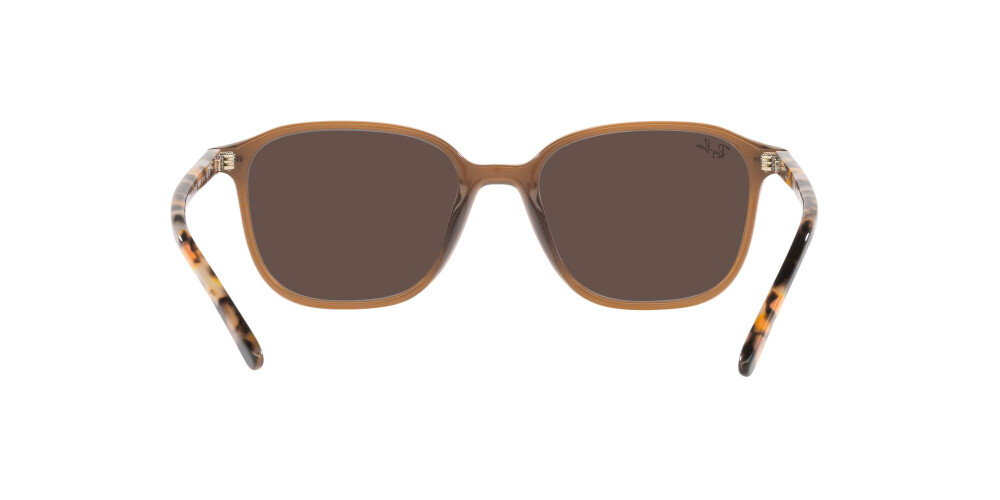 Sunglasses Man Woman Ray-Ban Leonard RB 2193 663693