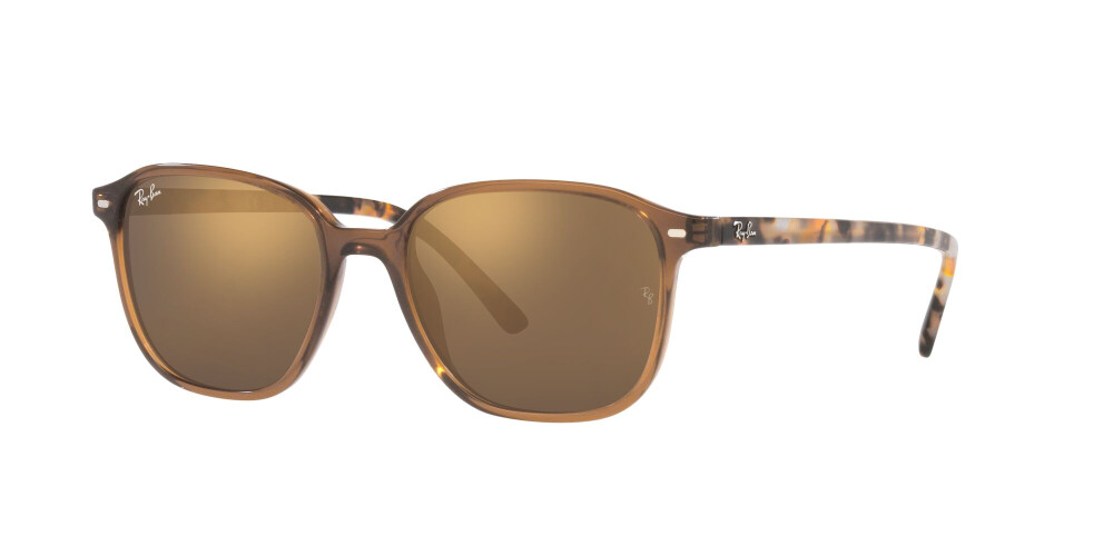 Sunglasses Man Woman Ray-Ban Leonard RB 2193 663693