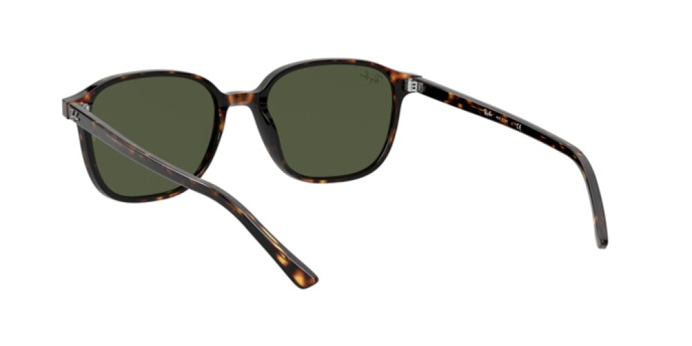 Occhiali da Sole Donna Uomo Ray-Ban Leonard RB 2193 902/31