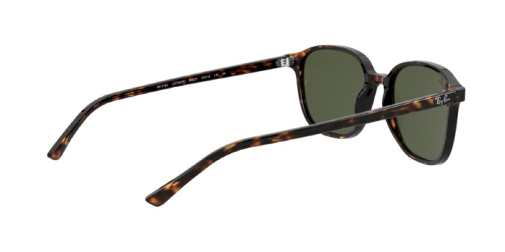 Occhiali da Sole Donna Uomo Ray-Ban Leonard RB 2193 902/31