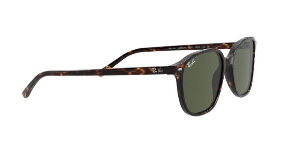 Occhiali da Sole Donna Uomo Ray-Ban Leonard RB 2193 902/31