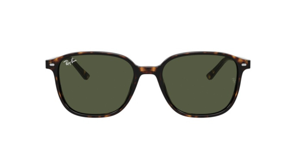 Occhiali da Sole Donna Uomo Ray-Ban Leonard RB 2193 902/31