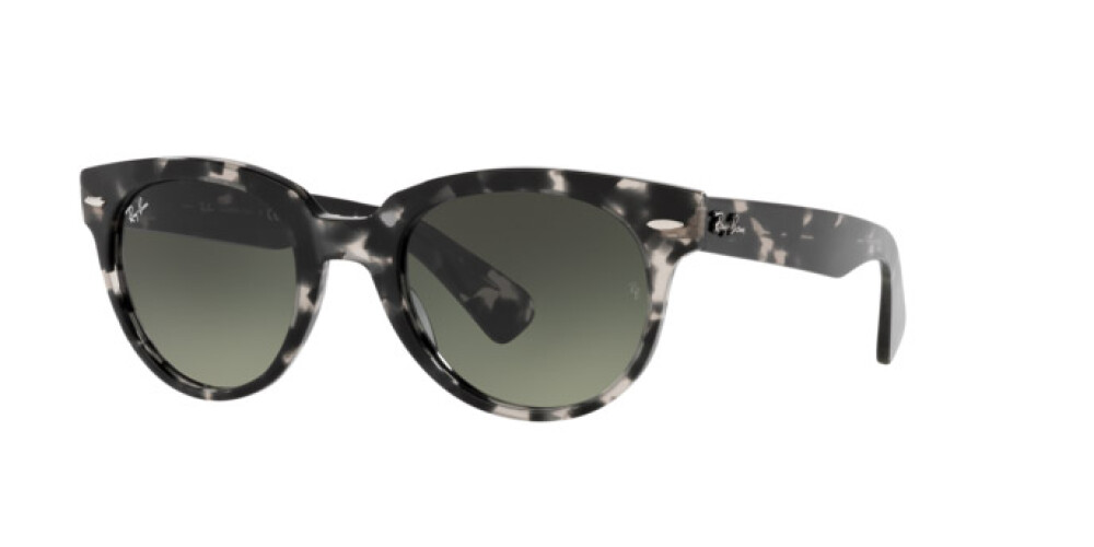 Sunglasses Man Woman Ray-Ban Orion RB 2199 133371