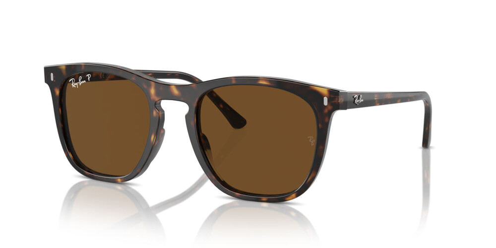 Occhiali da Sole Donna Uomo Ray-Ban  RB 2210 902/57